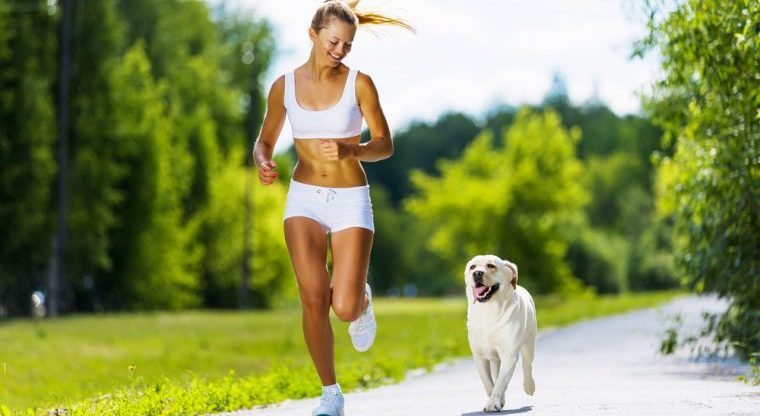 Joggen mit Hund